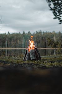 Превью обои костер, бревна, пламя, огонь, лес