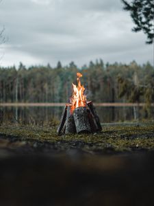 Превью обои костер, бревна, пламя, огонь, лес