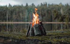 Превью обои костер, бревна, пламя, огонь, лес