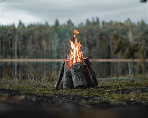 Превью обои костер, бревна, пламя, огонь, лес