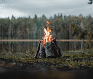 Превью обои костер, бревна, пламя, огонь, лес