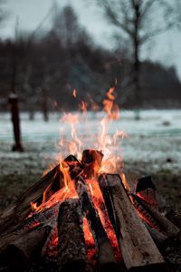 Превью обои костер, огонь, дрова, пламя, гореть