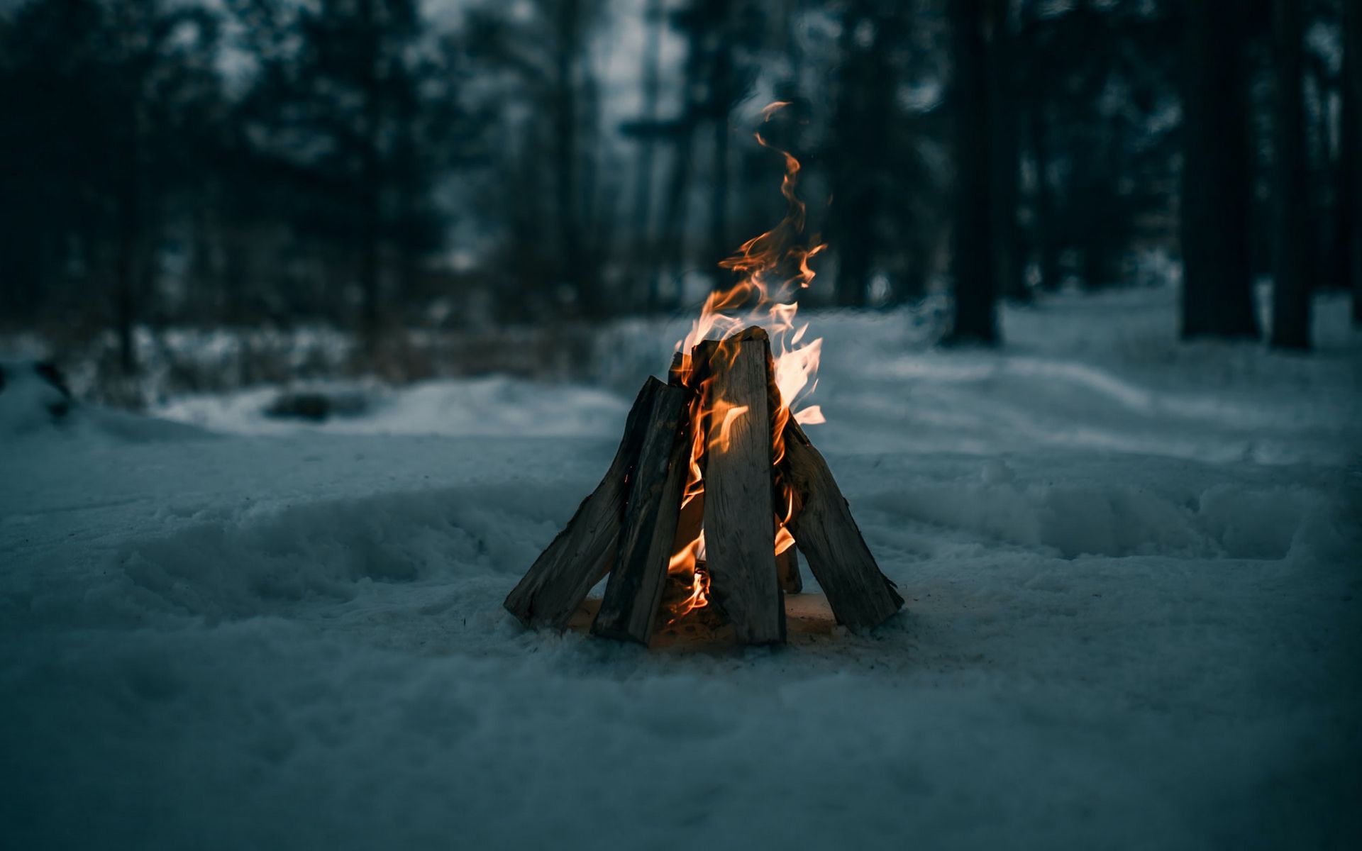 Зима огни