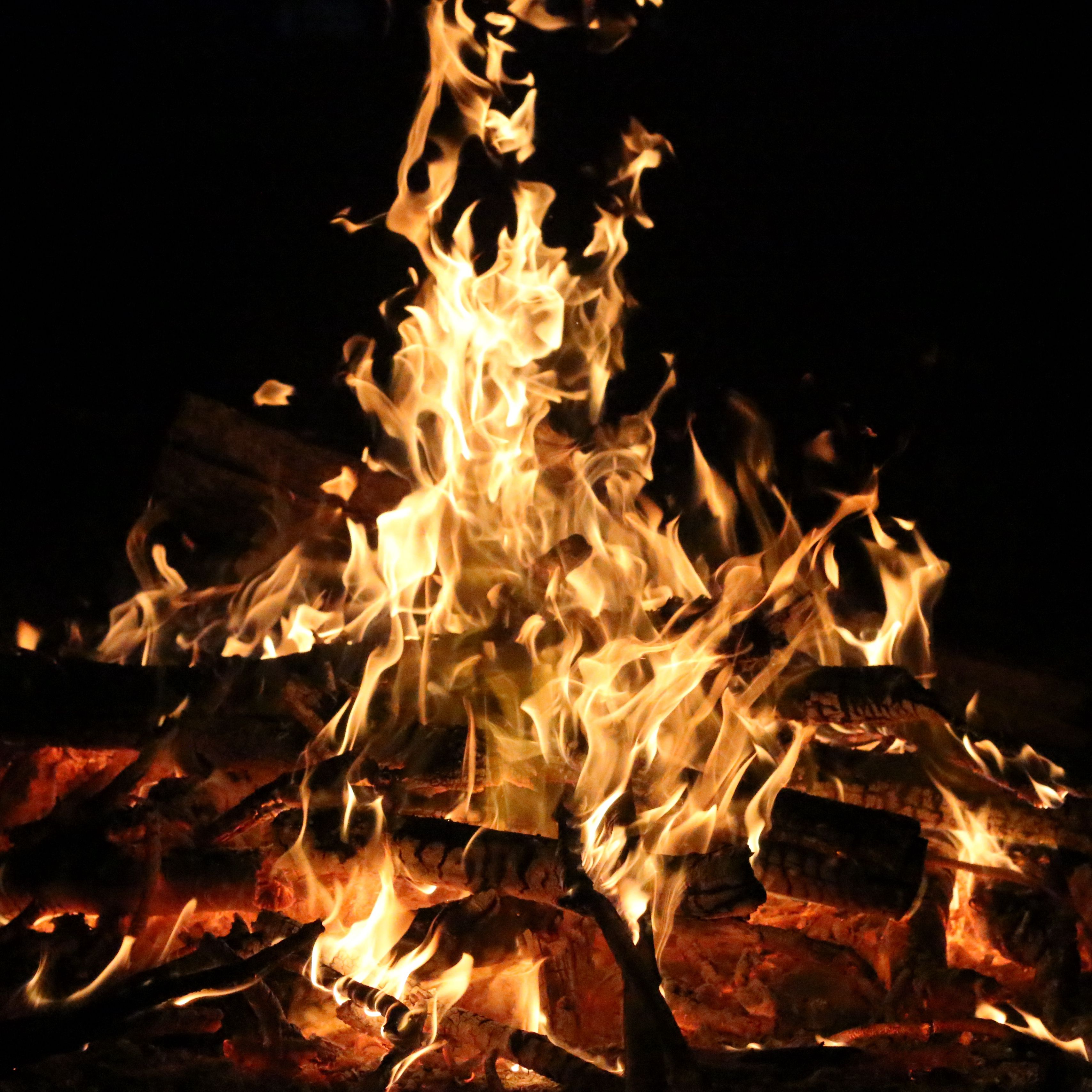 пламя живое фото