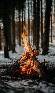 Превью обои костер, огонь, пламя, ветки