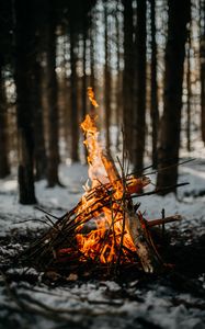 Превью обои костер, огонь, пламя, ветки