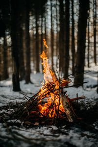 Превью обои костер, огонь, пламя, ветки