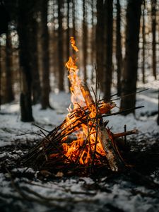 Превью обои костер, огонь, пламя, ветки