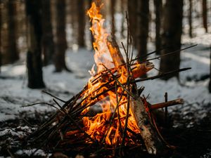 Превью обои костер, огонь, пламя, ветки