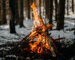 Превью обои костер, огонь, пламя, ветки