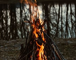 Превью обои костер, огонь, пламя, ветки, поход