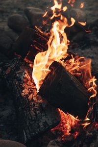 Превью обои костер, огонь, пламя, дрова, угли, жар
