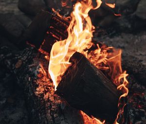 Превью обои костер, огонь, пламя, дрова, угли, жар