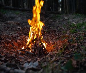 Превью обои костер, огонь, пламя, лес, поход