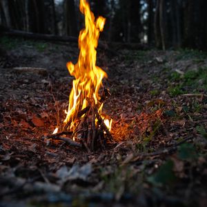 Превью обои костер, огонь, пламя, лес, поход