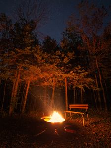 Превью обои костер, скамейка, лес, ночь