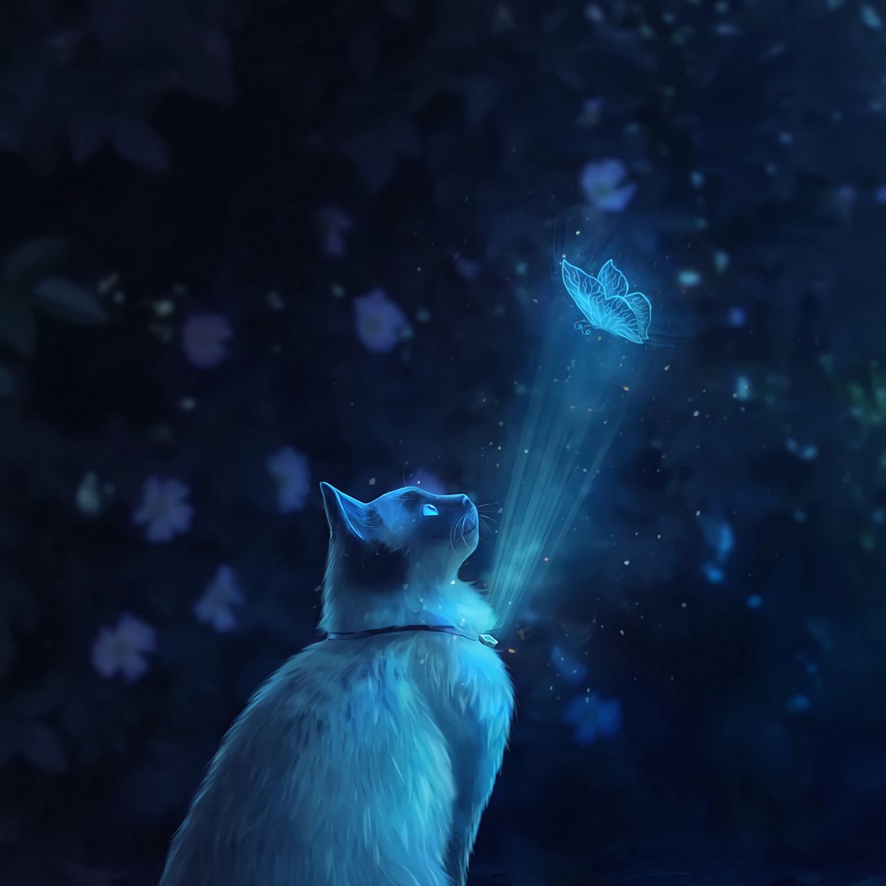Коты бабочки