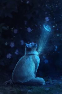 Превью обои кот, бабочка, иллюзия, свет, арт