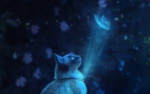 Превью обои кот, бабочка, иллюзия, свет, арт