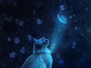Превью обои кот, бабочка, иллюзия, свет, арт