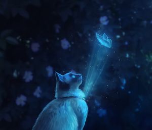 Превью обои кот, бабочка, иллюзия, свет, арт
