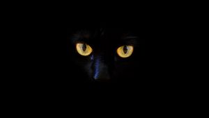Превью обои кот, черный кот, глаза, темнота