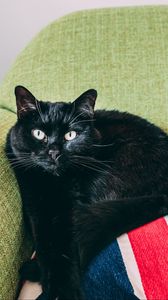 Превью обои кот, черный, лежит, кресло
