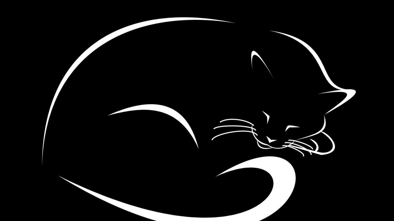 Обои кот, черный, вектор, минимализм