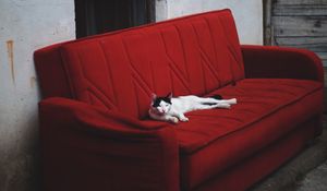 Превью обои кот, диван, лежит