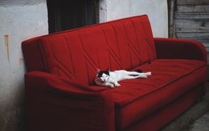 Превью обои кот, диван, лежит