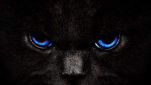 Превью обои кот, глаза, голубой, взгляд, темный