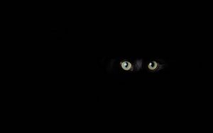 Превью обои кот, глаза, взгляд, черный, темнота