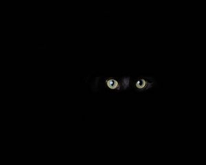 Превью обои кот, глаза, взгляд, черный, темнота