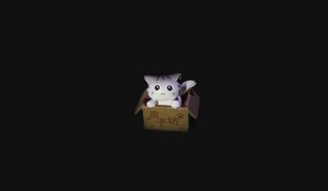 Превью обои кот, коробка, игрушка, темный