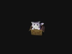 Превью обои кот, коробка, игрушка, темный