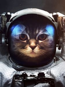 Превью обои кот, космонавт, скафандр, космос
