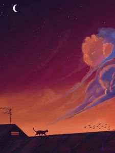 Превью обои кот, крыша, птицы, ночь, темный, арт