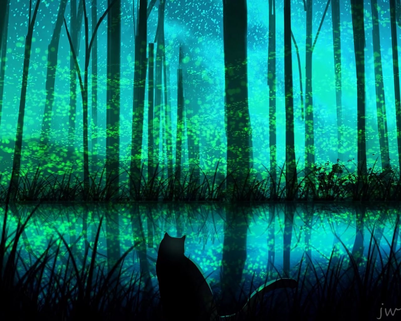 Кот в ночном лесу