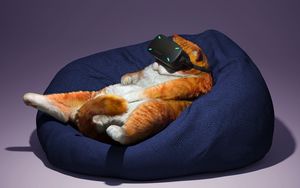 Превью обои кот, очки, виртуальная реальность, забавный, прикольный