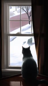 Превью обои кот, окно, зима, уют