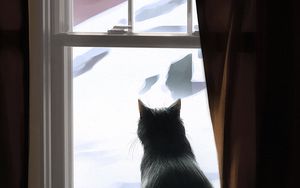 Превью обои кот, окно, зима, уют
