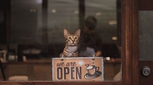 Превью обои кот, открыто, open, надпись, кофе