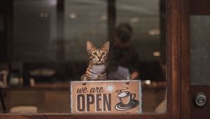 Превью обои кот, открыто, open, надпись, кофе