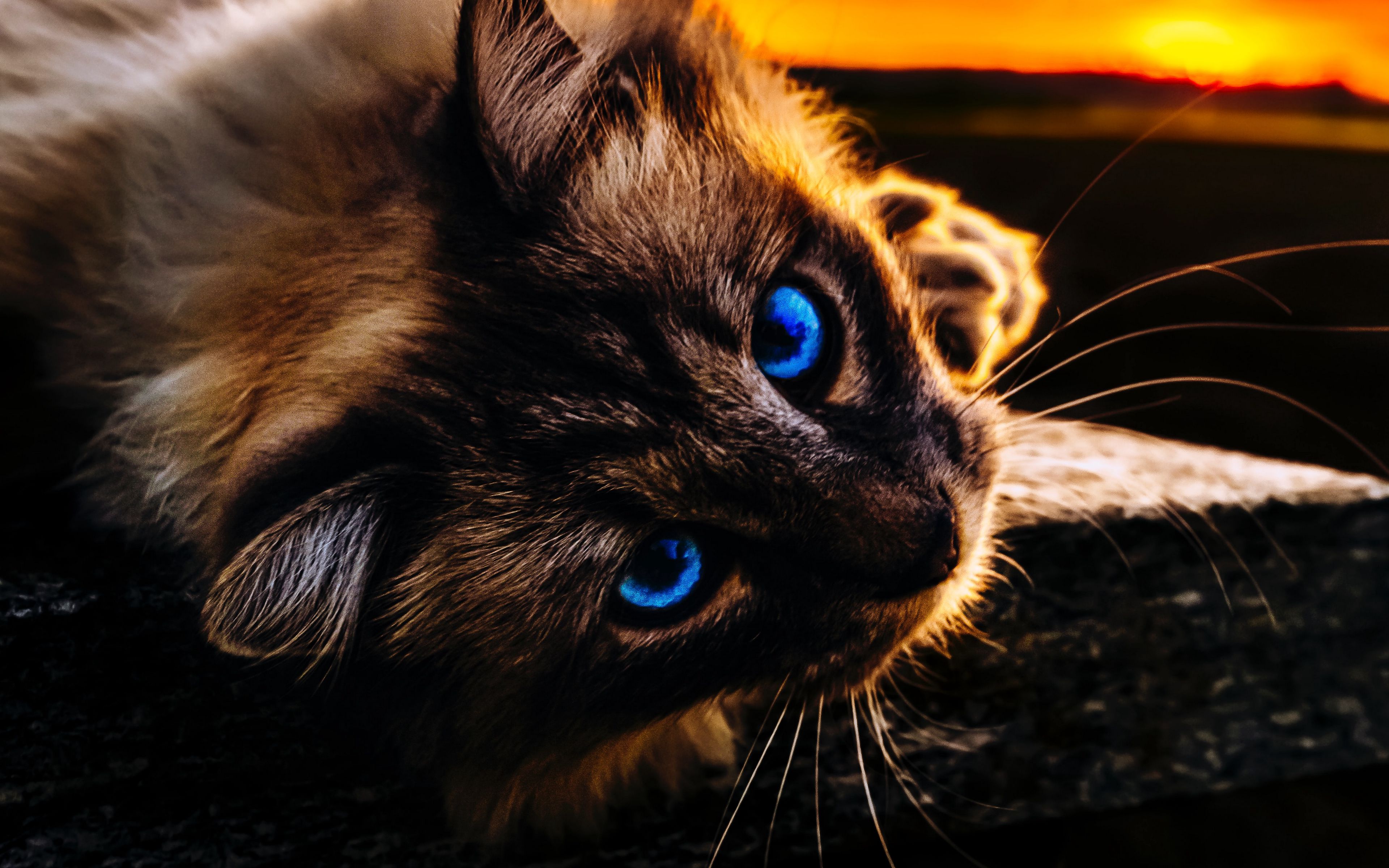  3840x2400 4k 