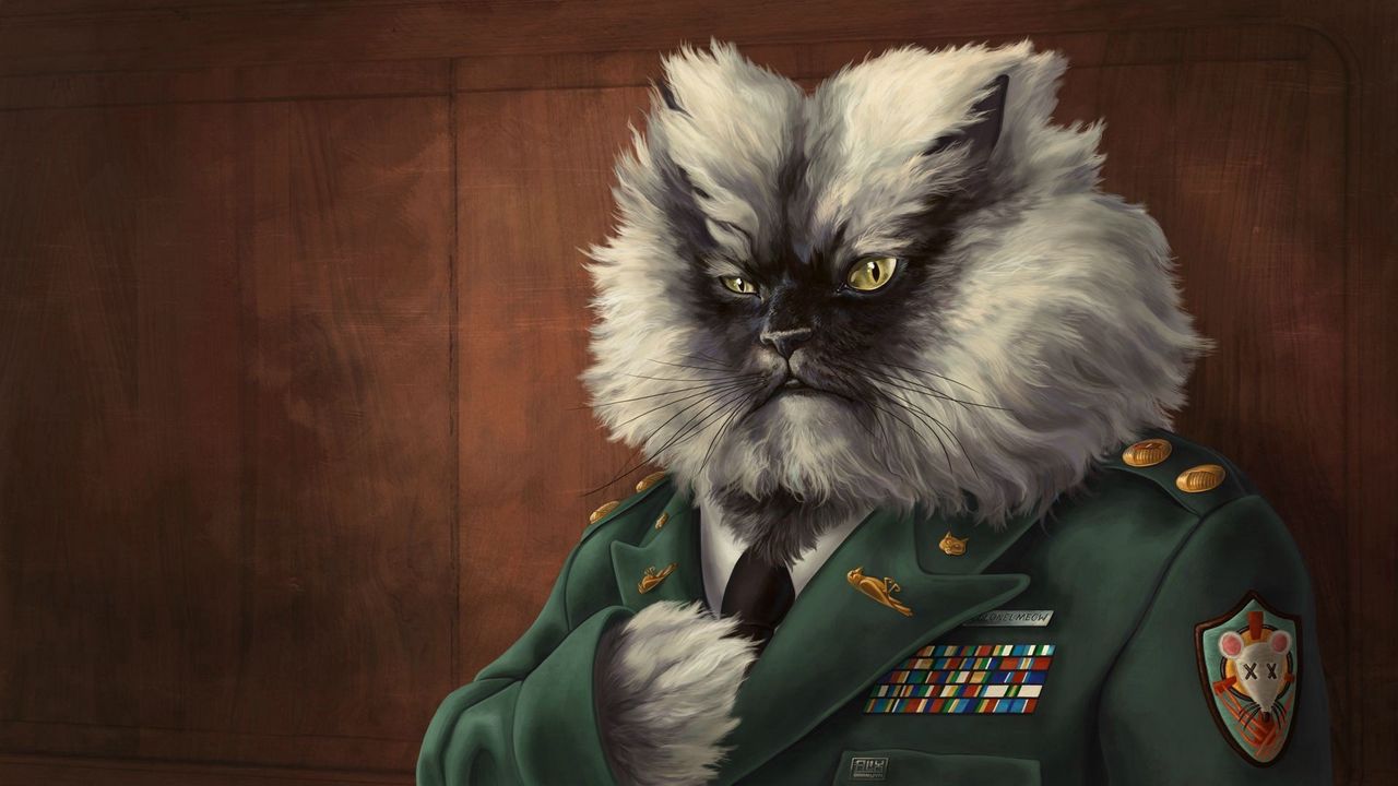 Обои кот, пушистый, пиджак, военный