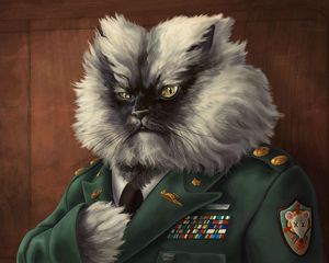 Превью обои кот, пушистый, пиджак, военный