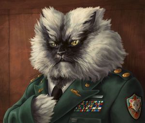 Превью обои кот, пушистый, пиджак, военный
