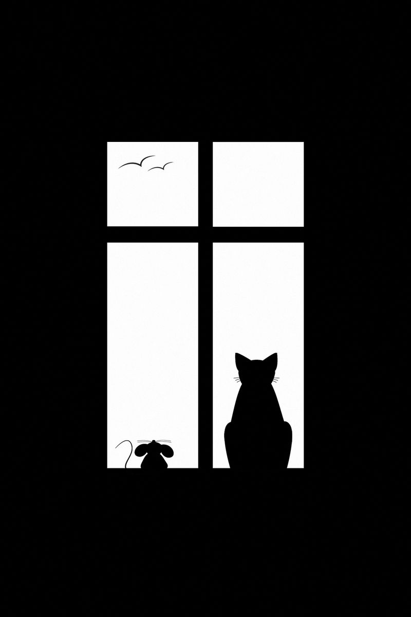 Силуэт кошки на окне