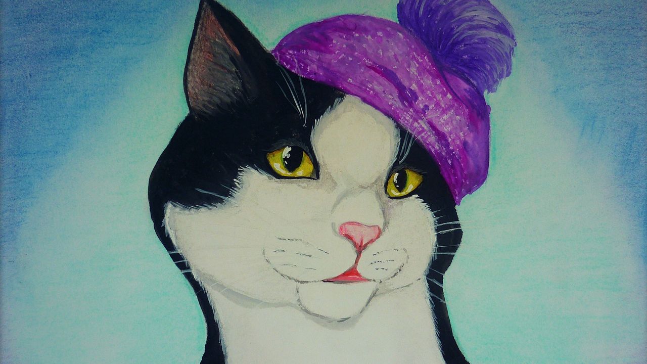 Обои кот, рисунок, шапка, картина