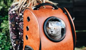 Превью обои кот, рюкзак, девушка, питомец, друг, прогулка